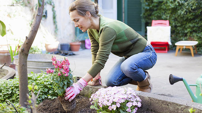 Spring gardening; woman planting